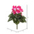 Vickerman 11" Artificial Polyester Beauty Cyclamen Bush