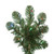  Vickerman 4.5' Oregon Fir Artificial Christmas Tree Wide Angle Single Mold Multi-Colored LED Lights 