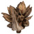 Vickerman 6" Natural Star Pod 1 piece Dried