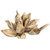 Vickerman 6" Bleached Star Pod 1 piece Dried