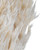 Vickerman 36" Bleached Plume Reed Bundle (15-20 stems) Preserved