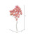 Vickerman 13.5-17" Pink Dried Cara Blossom Bundle Preserved