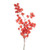 Vickerman 13.5-17" Red Dried Cara Blossom Bundle Preserved