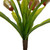 Vickerman 12" Green Artificial Venus Flytrap Plant 3/pk
