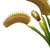 Vickerman 12" Green Artificial Venus Flytrap Plant 3/pk