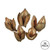 Vickerman 3-4" Natural Sora Pods Bulk Case 25/pk Dried