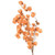 Vickerman 13.5-17" Orange Dried Cara Blossom Bundle Preserved