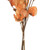 Vickerman 13.5-17" Orange Dried Cara Blossom Bundle Preserved