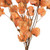 Vickerman 13.5-17" Orange Dried Cara Blossom Bundle Preserved