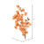 Vickerman 13.5-17" Orange Dried Cara Blossom Bundle Preserved