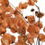 Vickerman 13.5-17" Orange Dried Cara Blossom Bundle Preserved