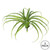 Vickerman 14" Artificial Frosted Green Grass Stem Set of 3