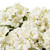 Vickerman 18" Artificial White Geranium Bush 4 per Pack