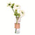 Vickerman 15" Artificial Cream Camellia in Glass Pack of 2