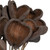 Vickerman Natural Botanicals 20" Stem Badam