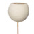 Vickerman Natural Botanicals 20" Bell Cup Bleached on Stem