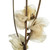 Vickerman 20-24" Natural Bleached Cara Blossom Spray