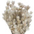  Vickerman Natural Botanicals 14" x 5" Everlasting Shiny White (hammer) 60 grams per unit 