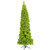  Vickerman 6.5' Flocked Lime Pencil Fir Artificial Christmas Tree Lime Dura-lit LED Lights 