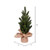 Vickerman 15" Balsam Fir Sapling Artificial Christmas Tree Unlit 2 Pack