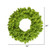 Vickerman 36" Flocked Lime Fir Artificial Christmas Wreath Lime Dura-Lit LED lights