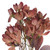  Vickerman 25.5" Rust Artificial Primrose Flower Spray 3 per bag 