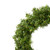 Vickerman 12" Mini Pine Artificial Christmas Wreath Unlit Set of 4