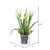 Vickerman 16.5" Artificial Daffodil in Galvanized Pot