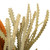 Vickerman 12" Jumbo Autumn Banksia Flower with Stem