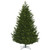 Vickerman 14' x 100" Eagle Fraser Full Artificial Christmas Tree Unlit