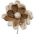 Vickerman Natural Botanicals 4" Lillian Sola Flower on 12" Stem - 12 stems/bag