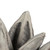Vickerman 6" Gray Wash Star Pod 1 piece Dried