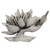Vickerman 6" Gray Wash Star Pod 1 piece Dried