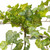  Vickerman 51" Artificial Green & White Grape Leaf Ivy Hanging Bush 