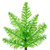  Vickerman 3' Lime Fir Artificial Christmas Tree Unlit 