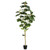  Vickerman 6' Artificial Potted Fig Tree 