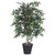 Vickerman 4' Artificial Mini Ficus Bush Rattan Basket