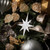 Vickerman 8" White Iridescent Glitter Bethlehem Star Christmas Ornament 4 per Box