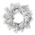 Vickerman 24" Frosted Beckett Pine Artificial Christmas Wreath Unlit