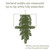 Vickerman 25' Camdon Fir Artificial Christmas Garland Unlit