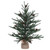 Vickerman B803919 18" Carmel Pine Table Top Christmas Tree with Cones