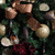 Vickerman N500175 5.5" Chocolate Drop 4 Finish Asst 8/Bx
