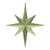  Vickerman M167473 12" Lime Glitter Bethlehem Star 2/Bag