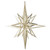 Vickerman M148538 - Champagne Star Ornament