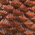 Vickerman N187371D - Coral Pinecone Ornament