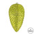 Vickerman N187373D - Lime Pinecone Ornament