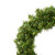 Vickerman 16" Green Pine Artificial Wreath - Vickerman A802616-2