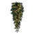 Vickerman 36" Green Artificial Teardrop with LED Lights - Vickerman K224437LED