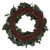  Vickerman EF224624 – 24" Green Silver Dollar Eucalyptus Artificial Wreath 