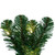  Vickerman C164712LED – 9 ft Natural Oregon Fir Garland – Warm White LED 
